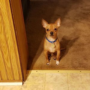 Meet your Posher, Donna